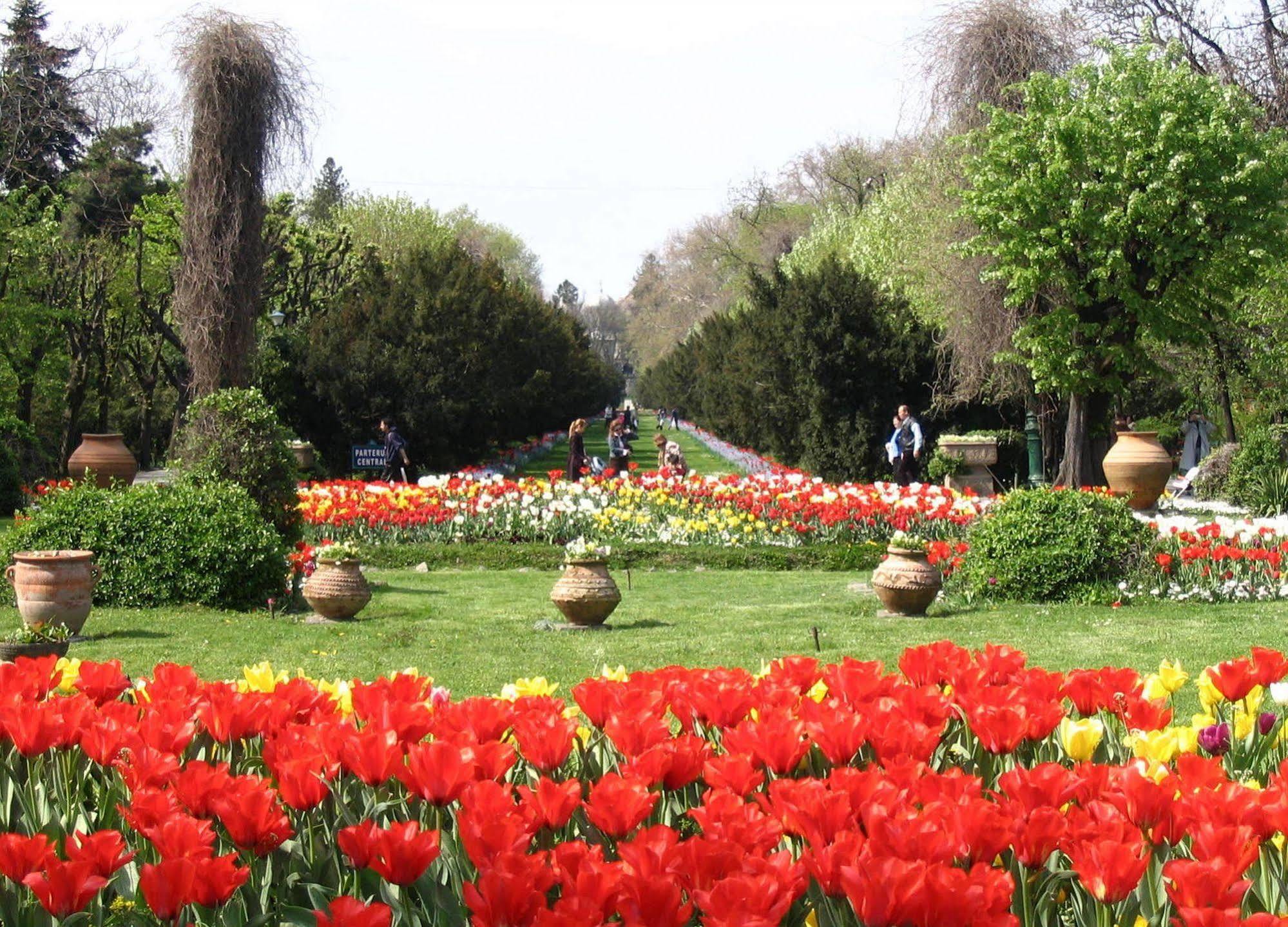 Central Park View Apartments Bukareszt Zewnętrze zdjęcie